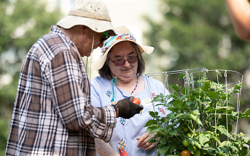 senior couple gardening outdoors